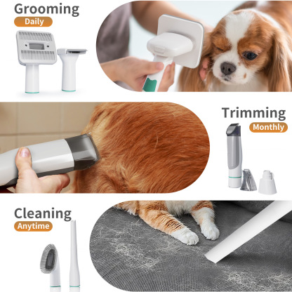 7 And 1 Pet Grooming Kit & Vacuum
