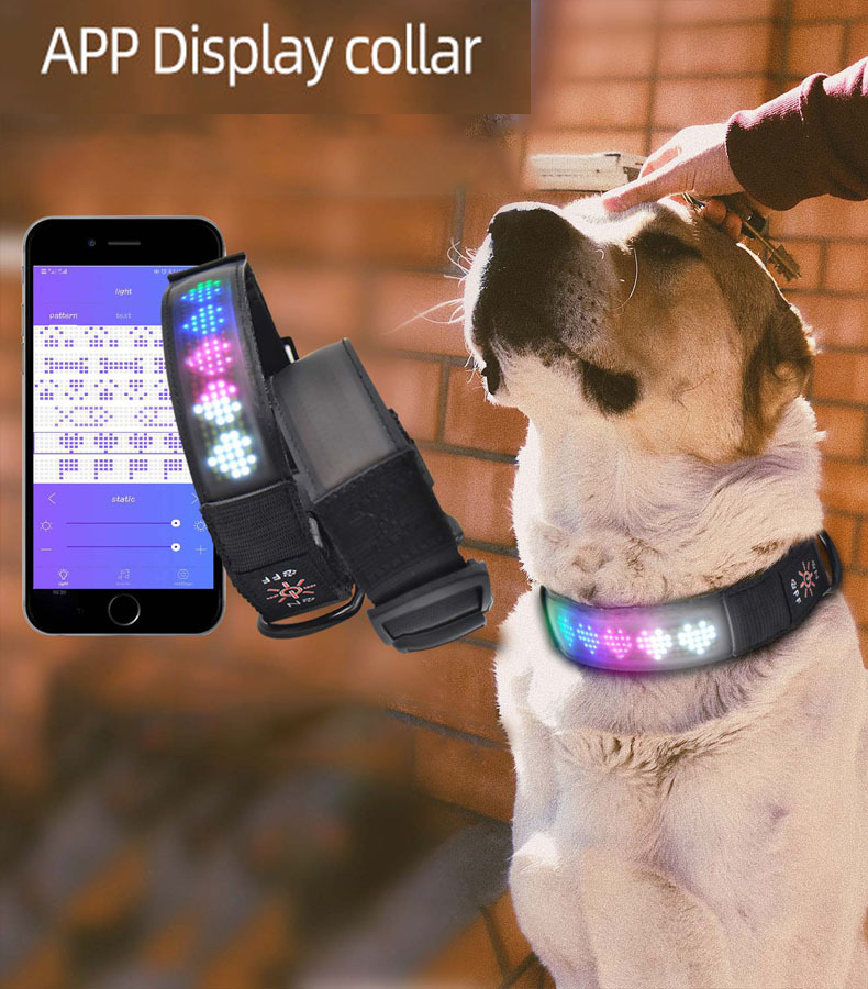 LED fiber optic luminous dog pet collar app DIY characters night light charging adjustable-Rongpet