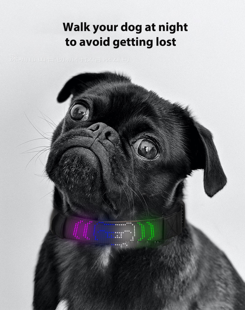 LED fiber optic luminous dog pet collar app with modified characters: night light dog collar anti loss charging adjustable