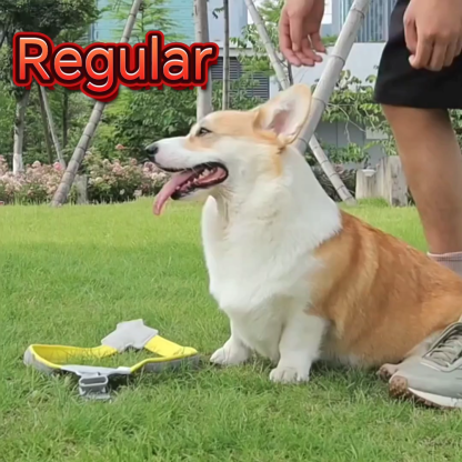 Multiple styles-Pet dog/cat harness & traction rope/automatic telescopic traction rope