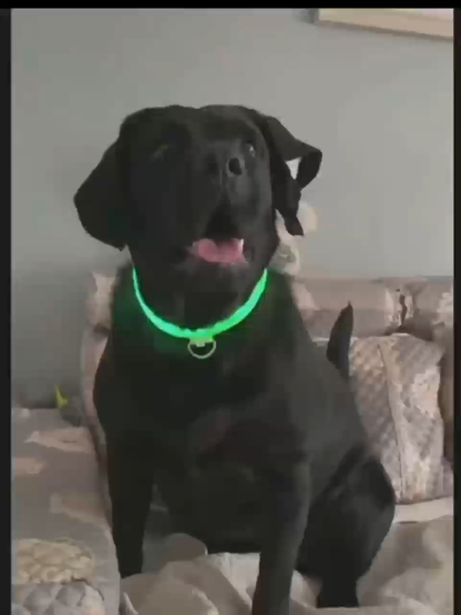 LED luminous pet collar USB charging pet collar LED flashing dog collar with light