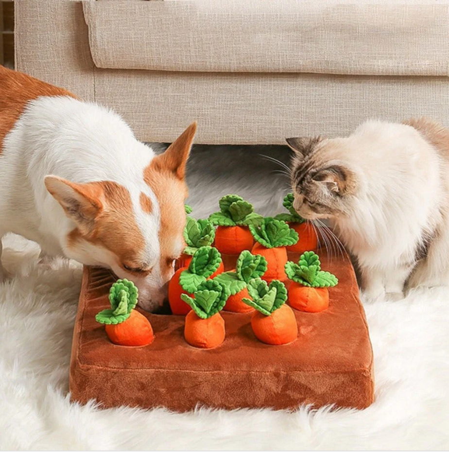 Carrot Garden Pet Toy