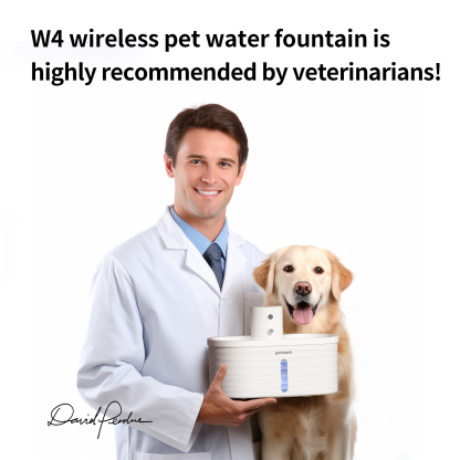 2.5L Automatic Pet Water Dispenser 5000mA Infrared Wireless Sensing Cat Water Feeder