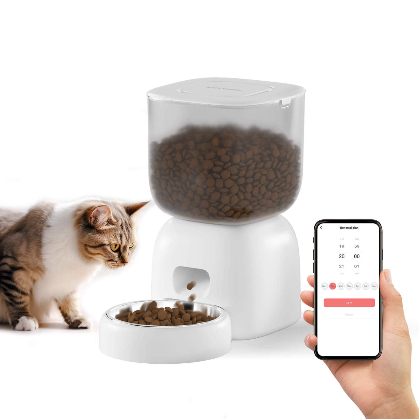Pet Cat Dog Automatic Feeder 3L