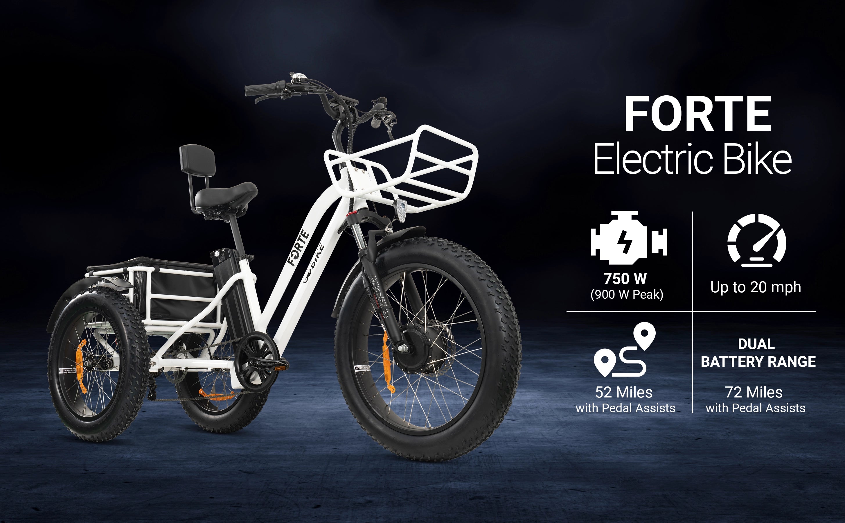 FORTE Electric Trike 750W GOBIKE