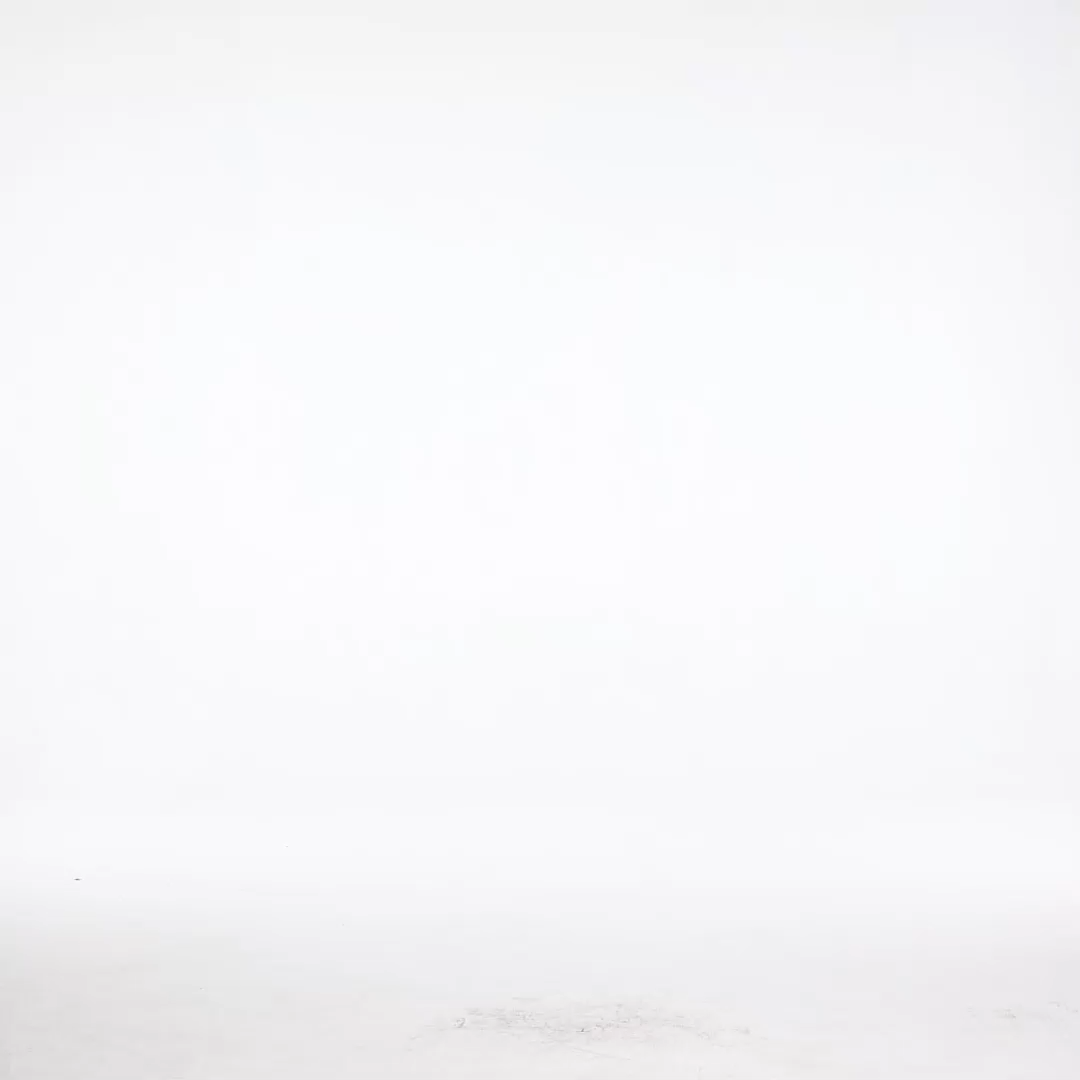 Tia Resort Flowy Long Sleeve Floral Print Ruffle Woven Mini Dress