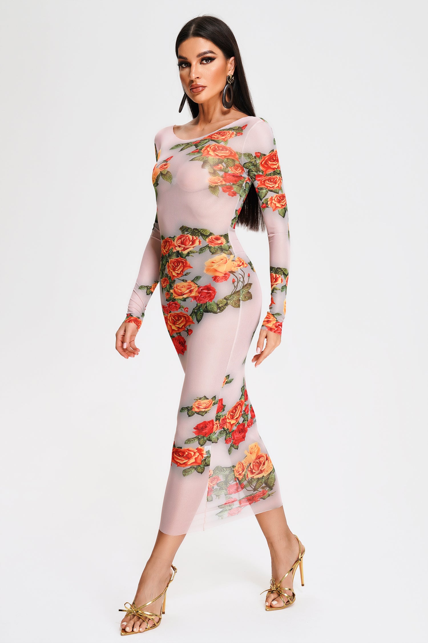Tanisha Printed Mesh Midi Dress