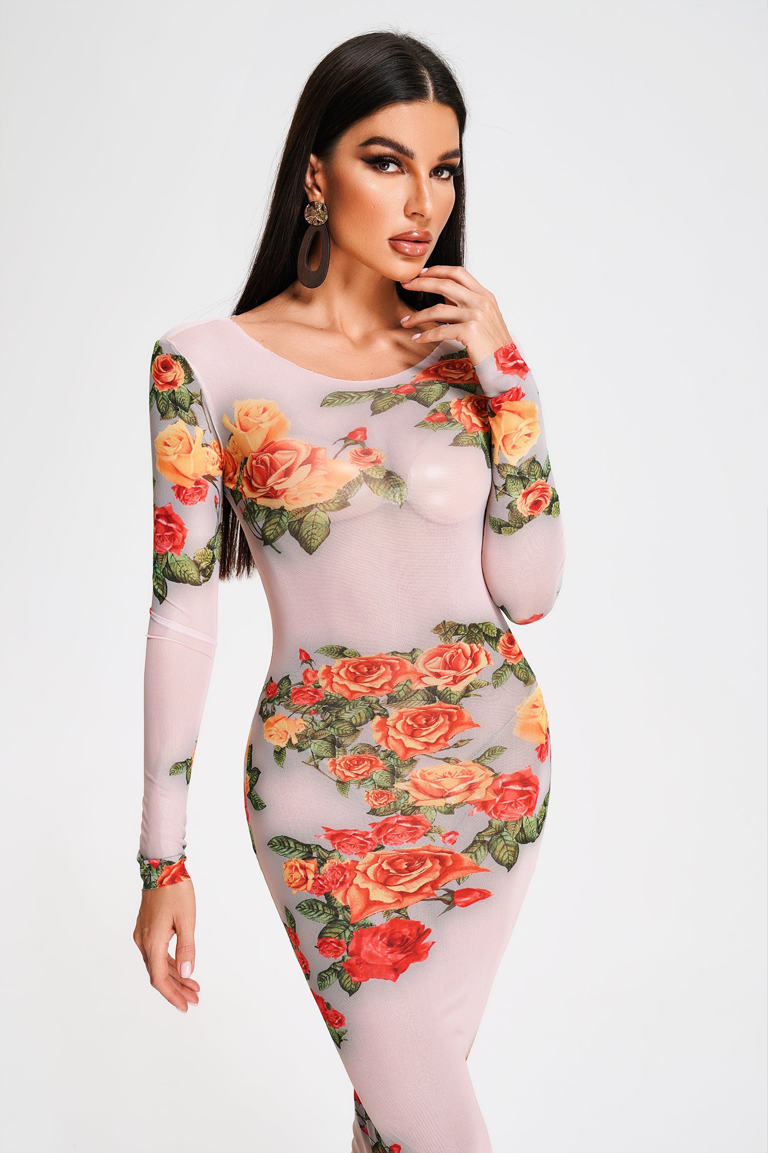 Tanisha Printed Mesh Midi Dress