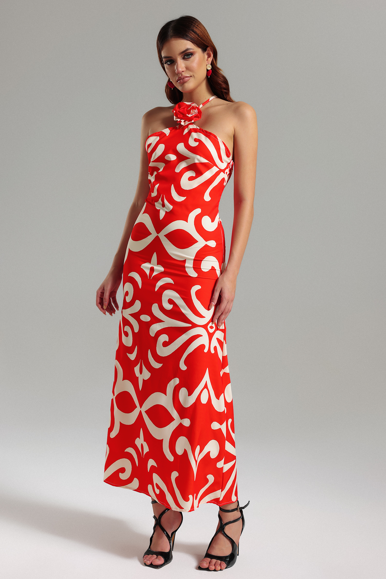 Viney Halterneck Printed Maxi Dress