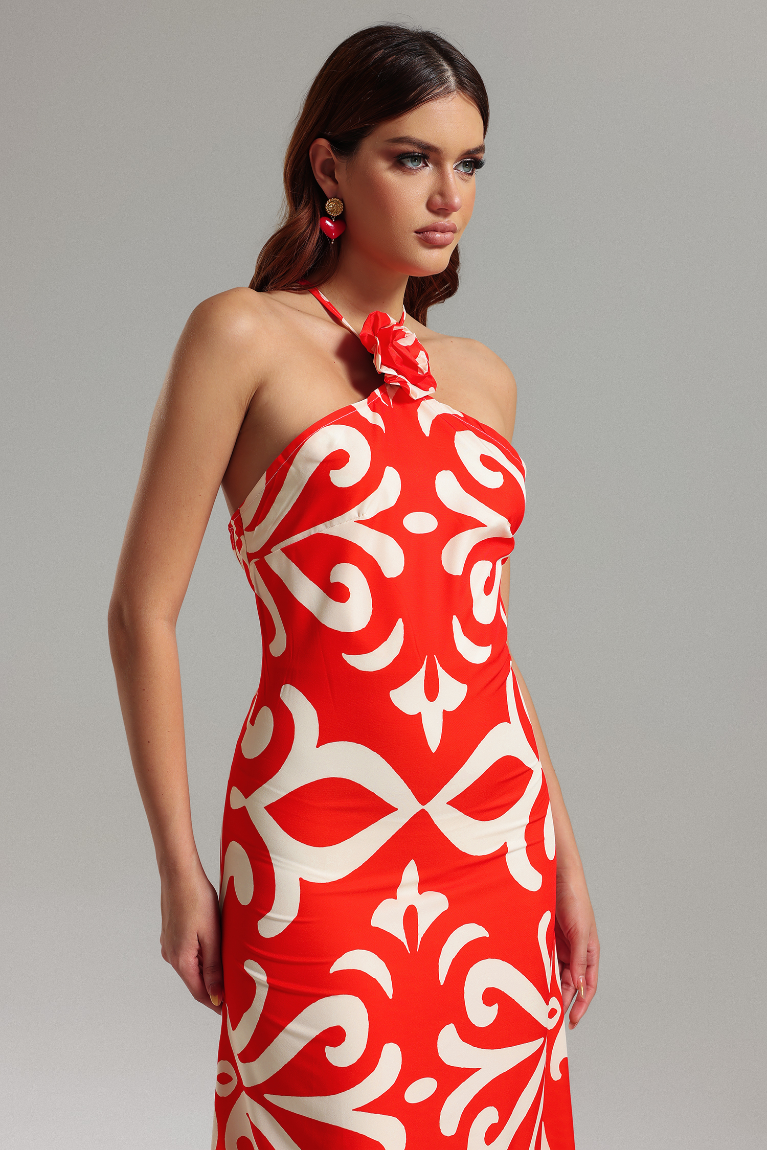 Viney Halterneck Printed Maxi Dress