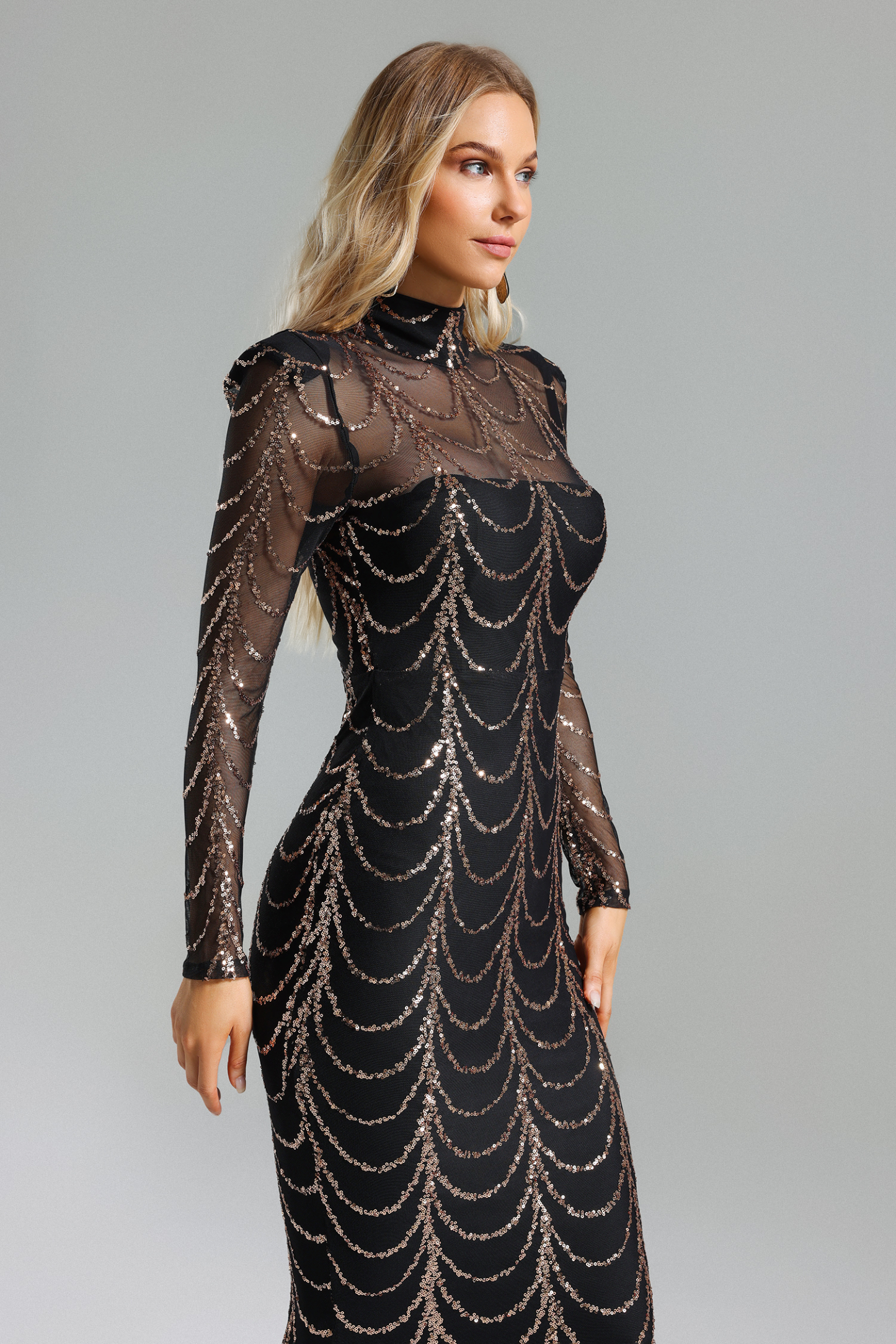 Palez Sequins Mesh Maxi Dress