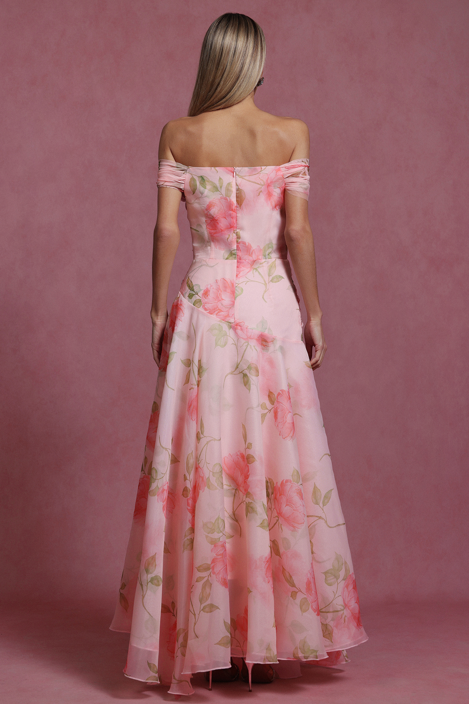 Jussi Sleeveless Flowers Flounce Maxi Dress