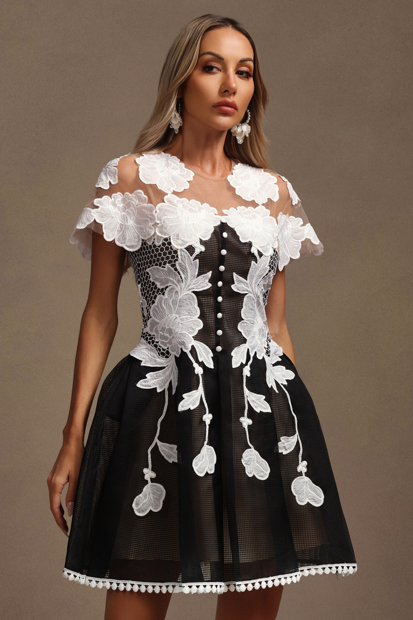 Sofia Short Sleeves Flowers Lace Mini Dress