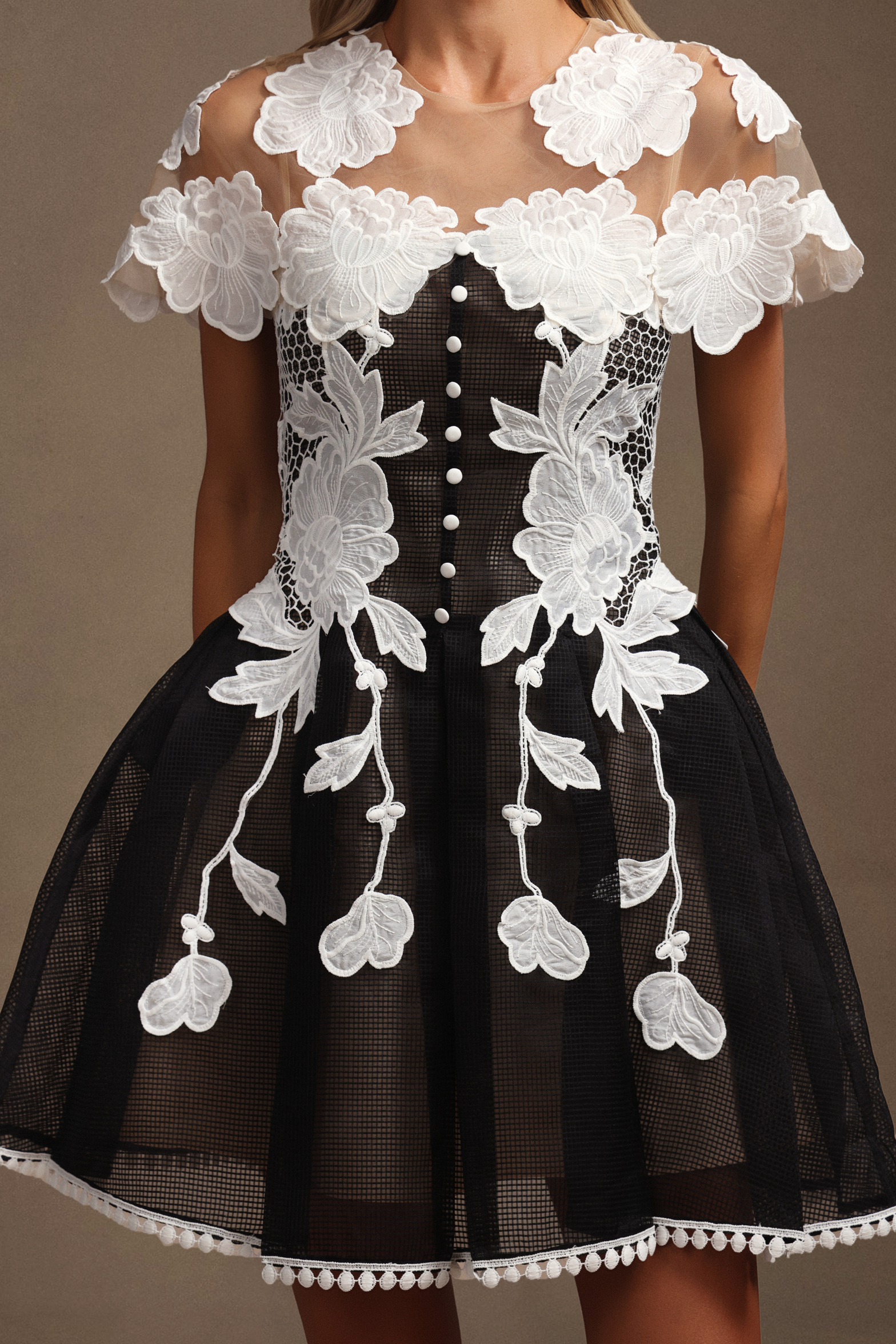Sofia Short Sleeves Flowers Lace Mini Dress