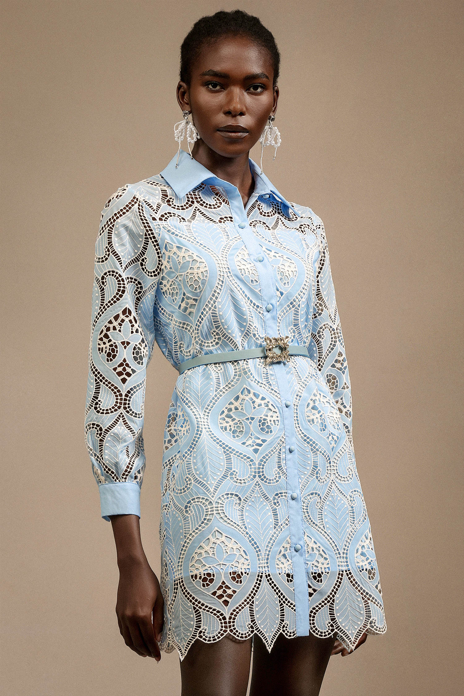 Magdalena Lapel Long Sleeves Lace Mini Dress