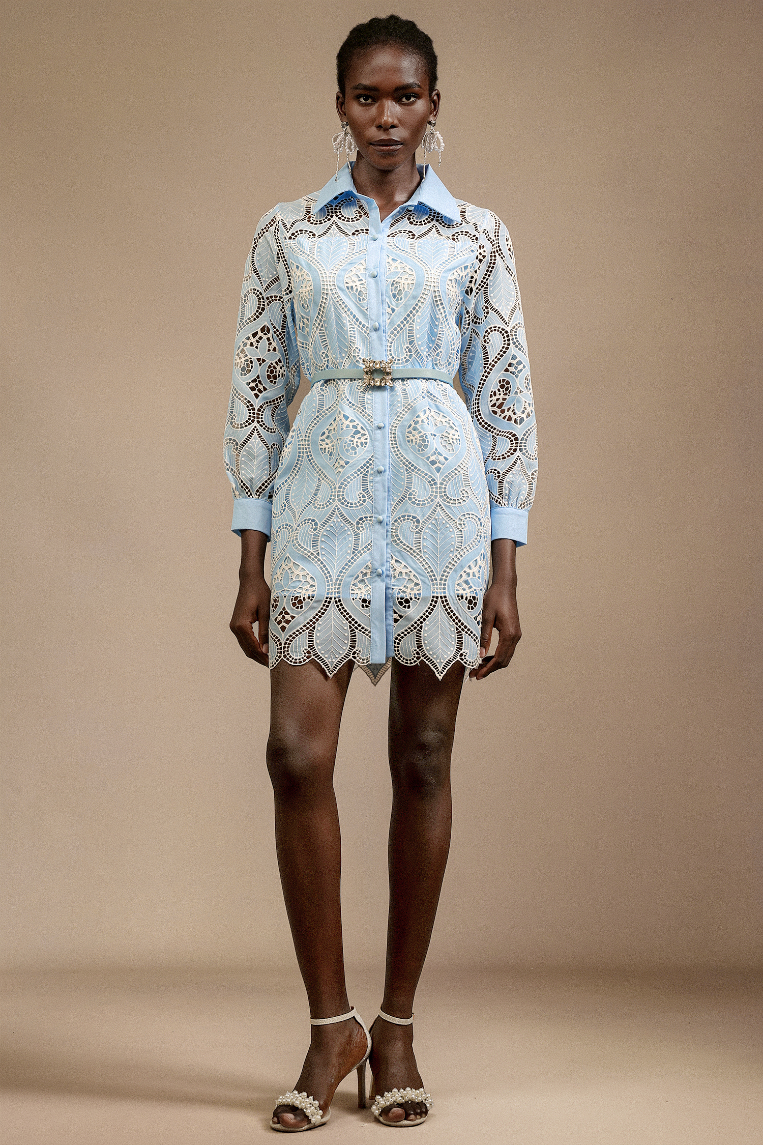 Magdalena Lapel Long Sleeves Lace Mini Dress
