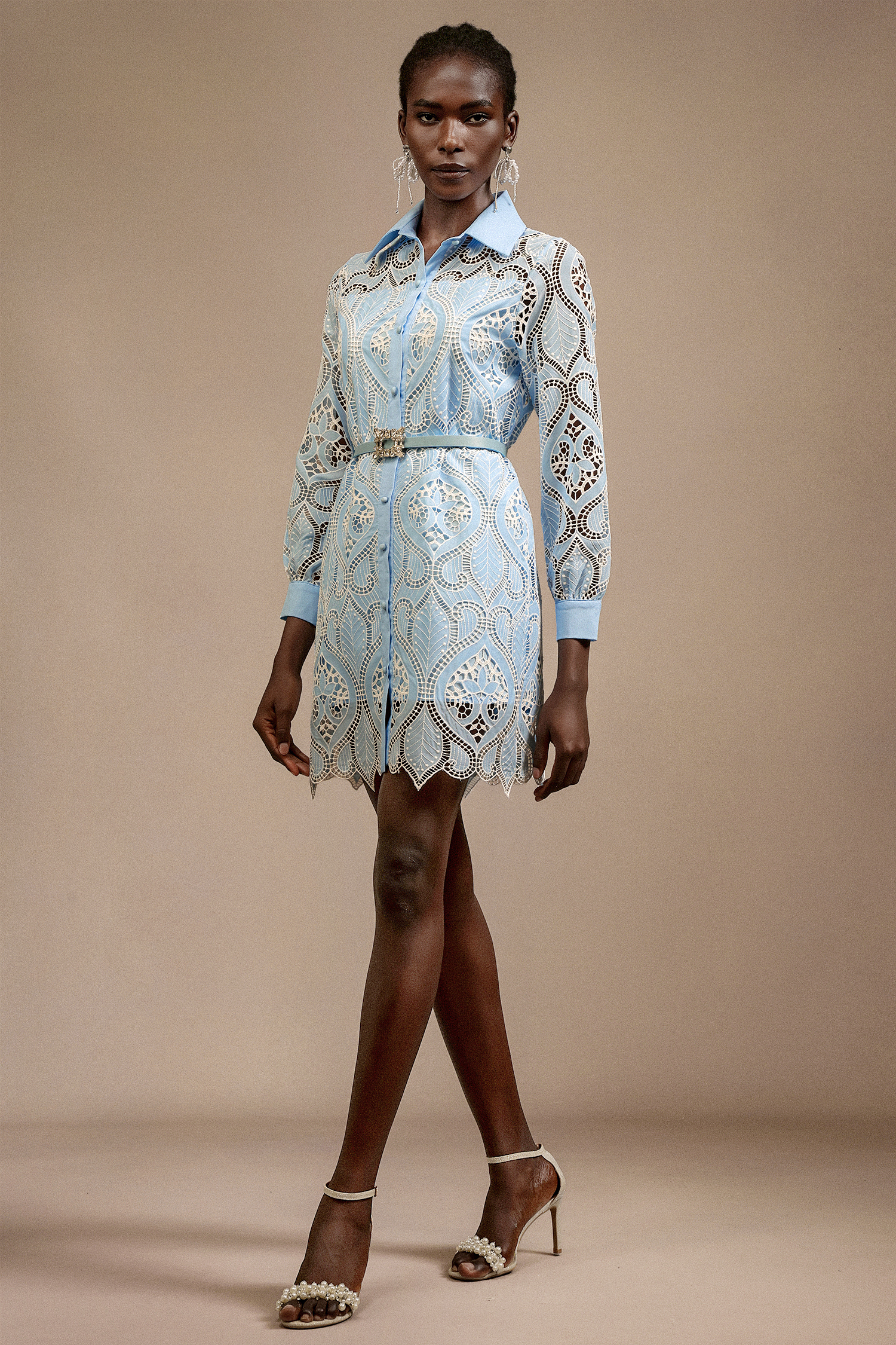 Magdalena Lapel Long Sleeves Lace Mini Dress