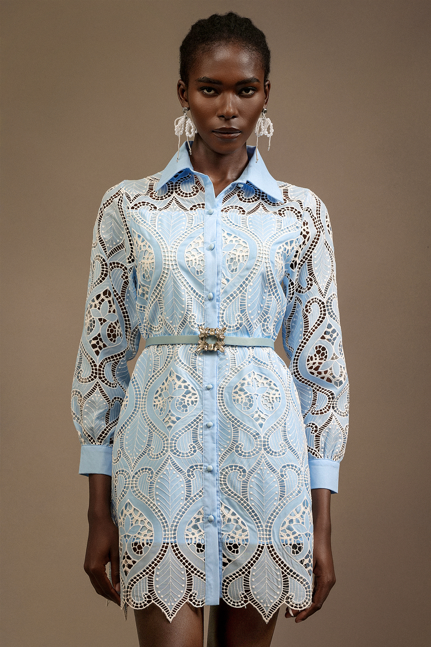 Magdalena Lapel Long Sleeves Lace Mini Dress