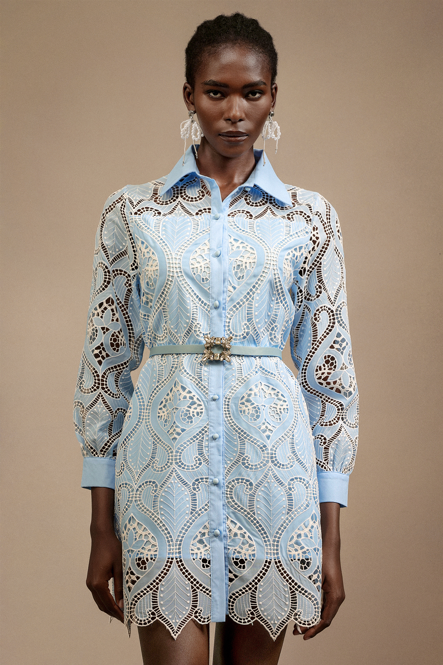 Magdalena Lapel Long Sleeves Lace Mini Dress