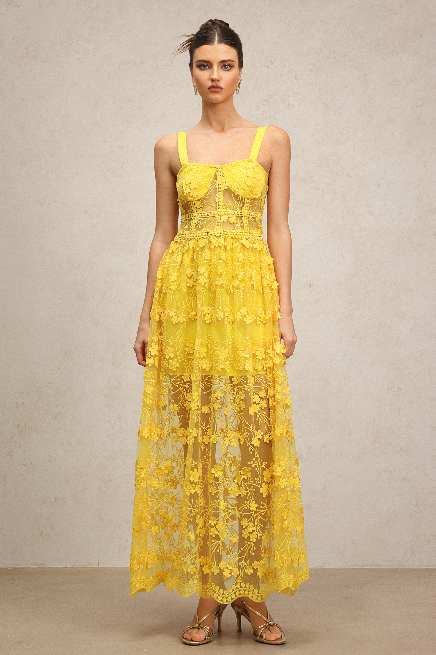 Molia Sleeveless Lace Flowers Embroidery Maxi Dress