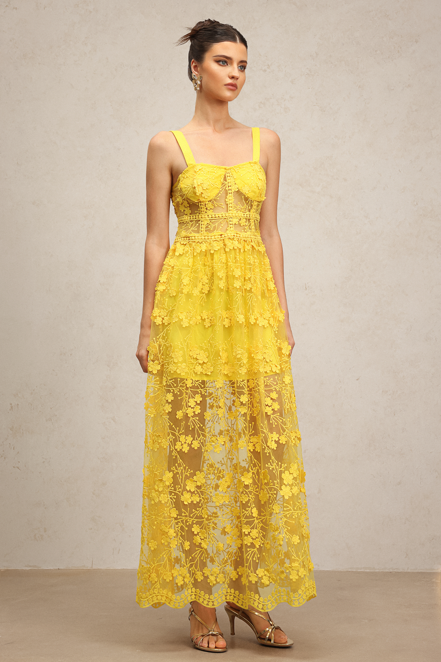 Molia Sleeveless Lace Flowers Embroidery Maxi Dress