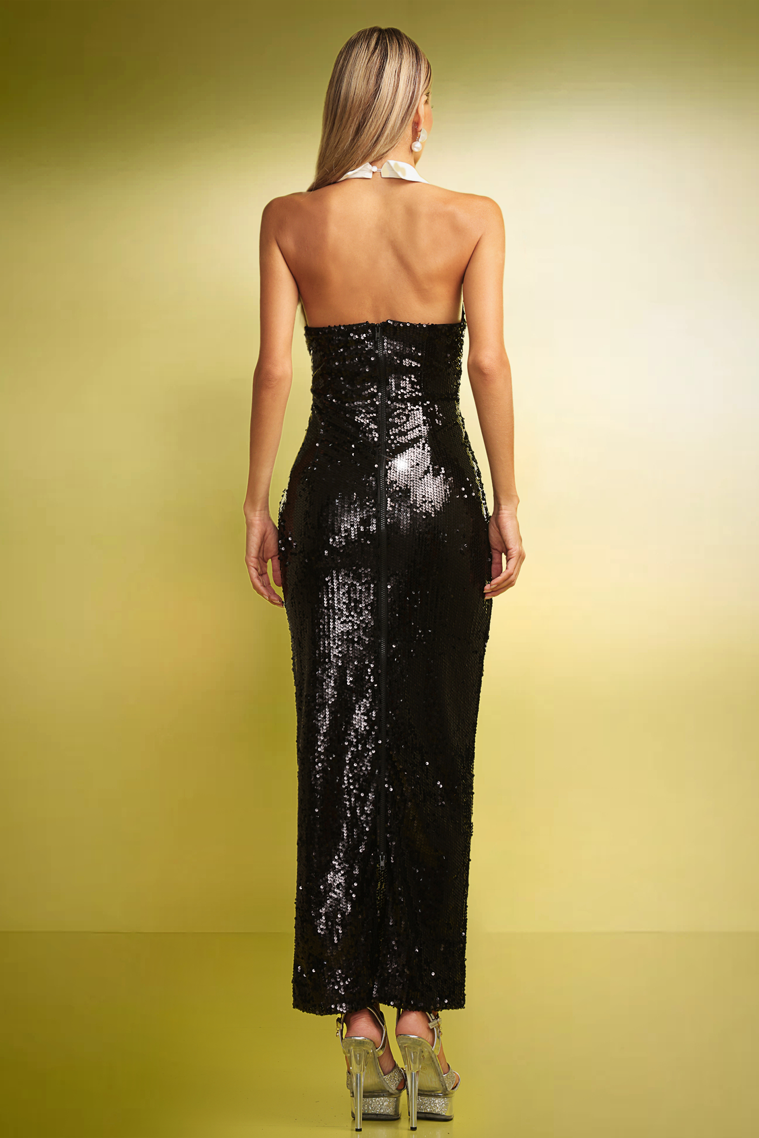Pinar Sequins Slim Backless Maxi Dress