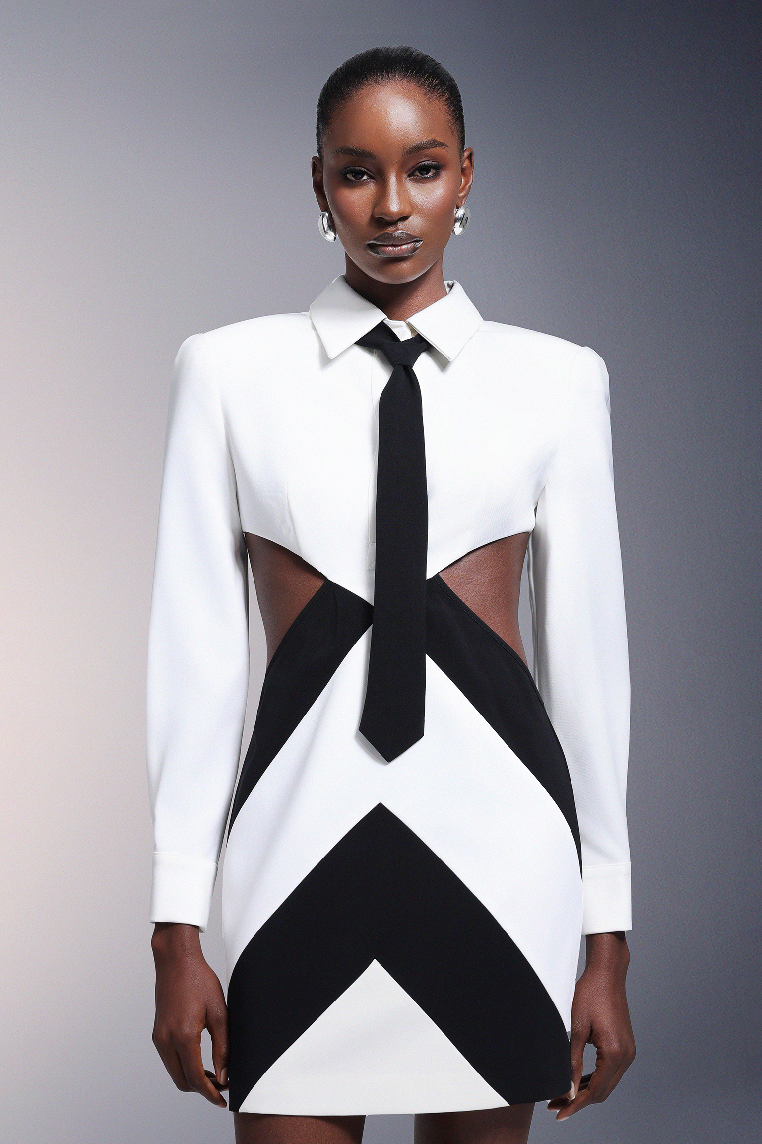 Labola Shirt Long Sleeves Tie Mini Dress