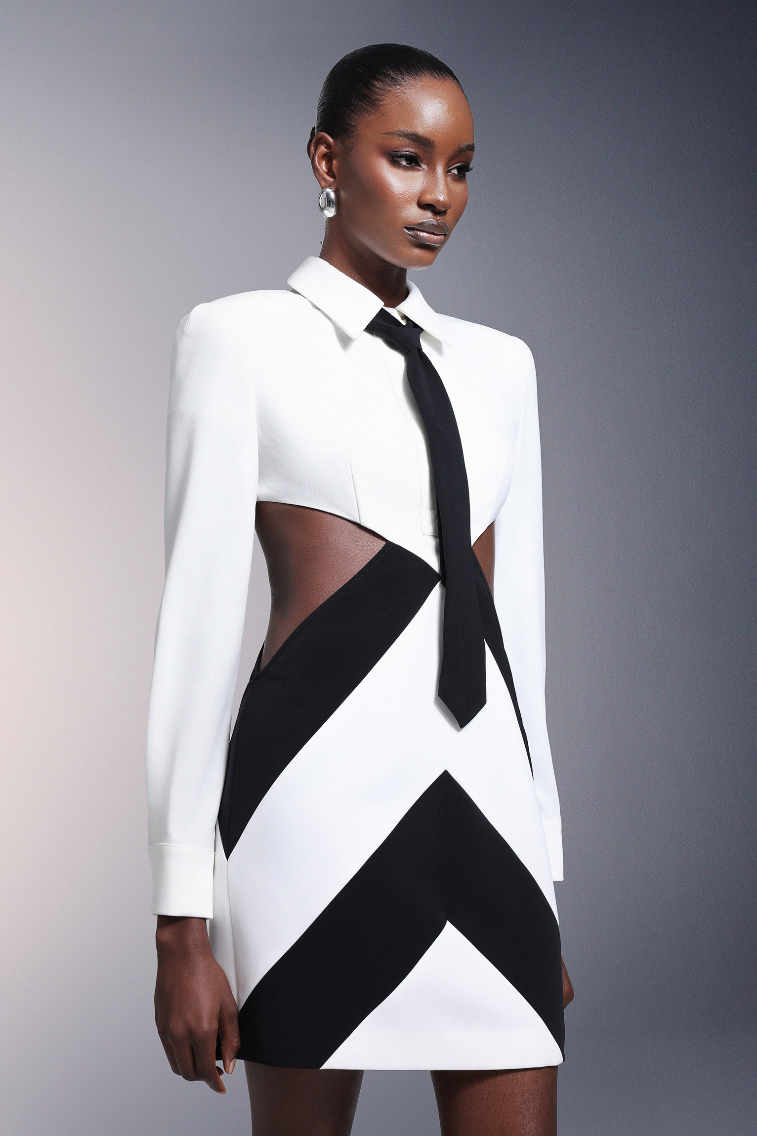 Labola Shirt Long Sleeves Tie Mini Dress