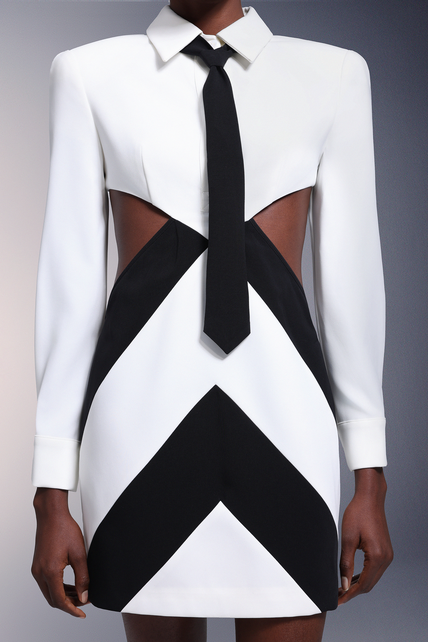 Labola Shirt Long Sleeves Tie Mini Dress