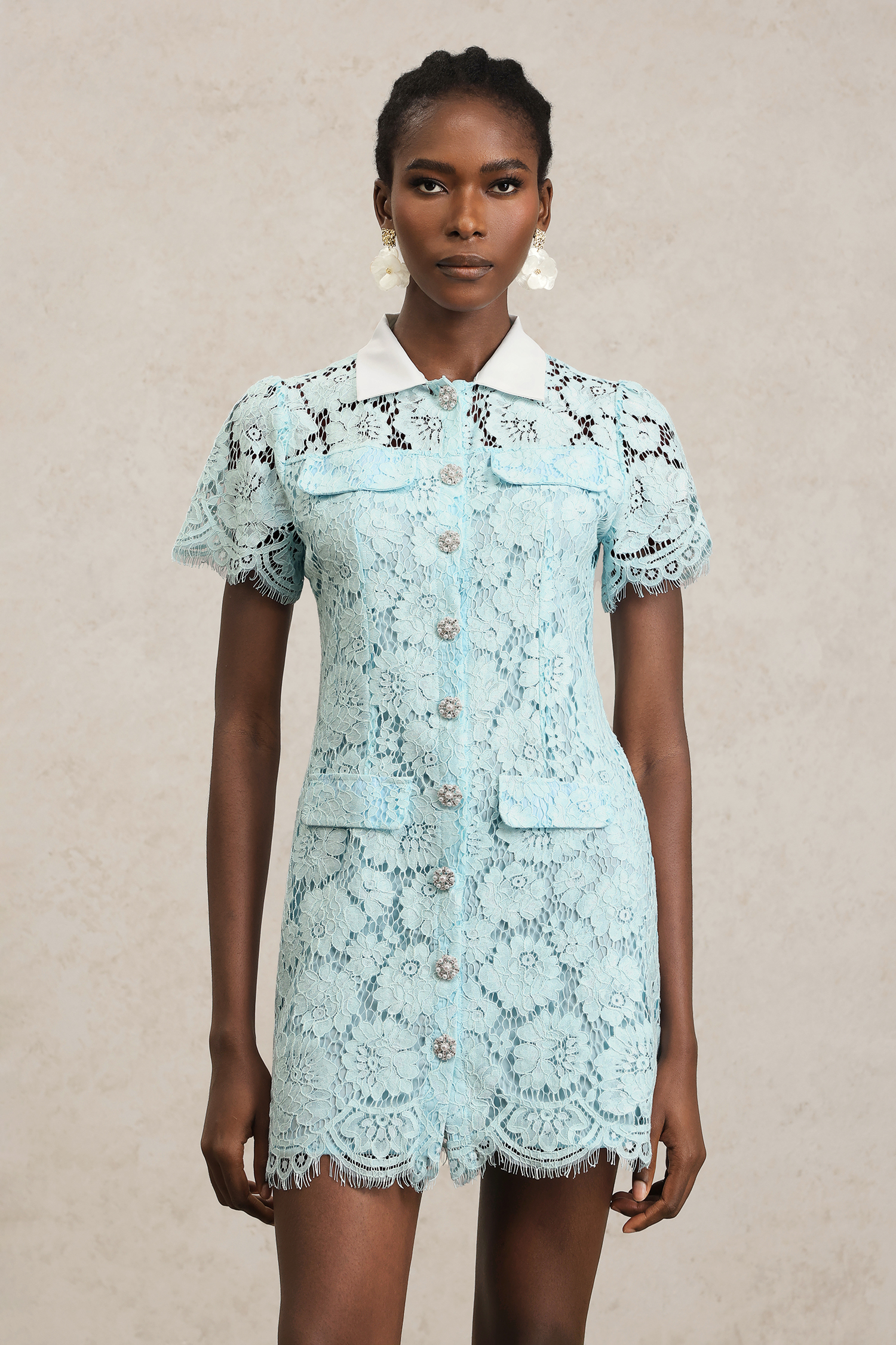 Saliya Short Sleeves Lapel Lace Mini Dress