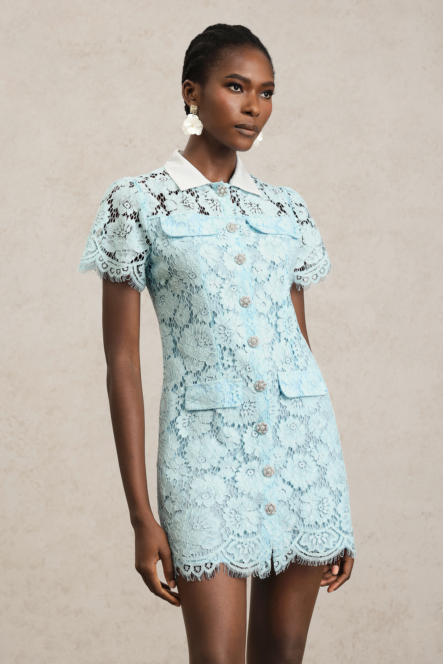 Saliya Short Sleeves Lapel Lace Mini Dress