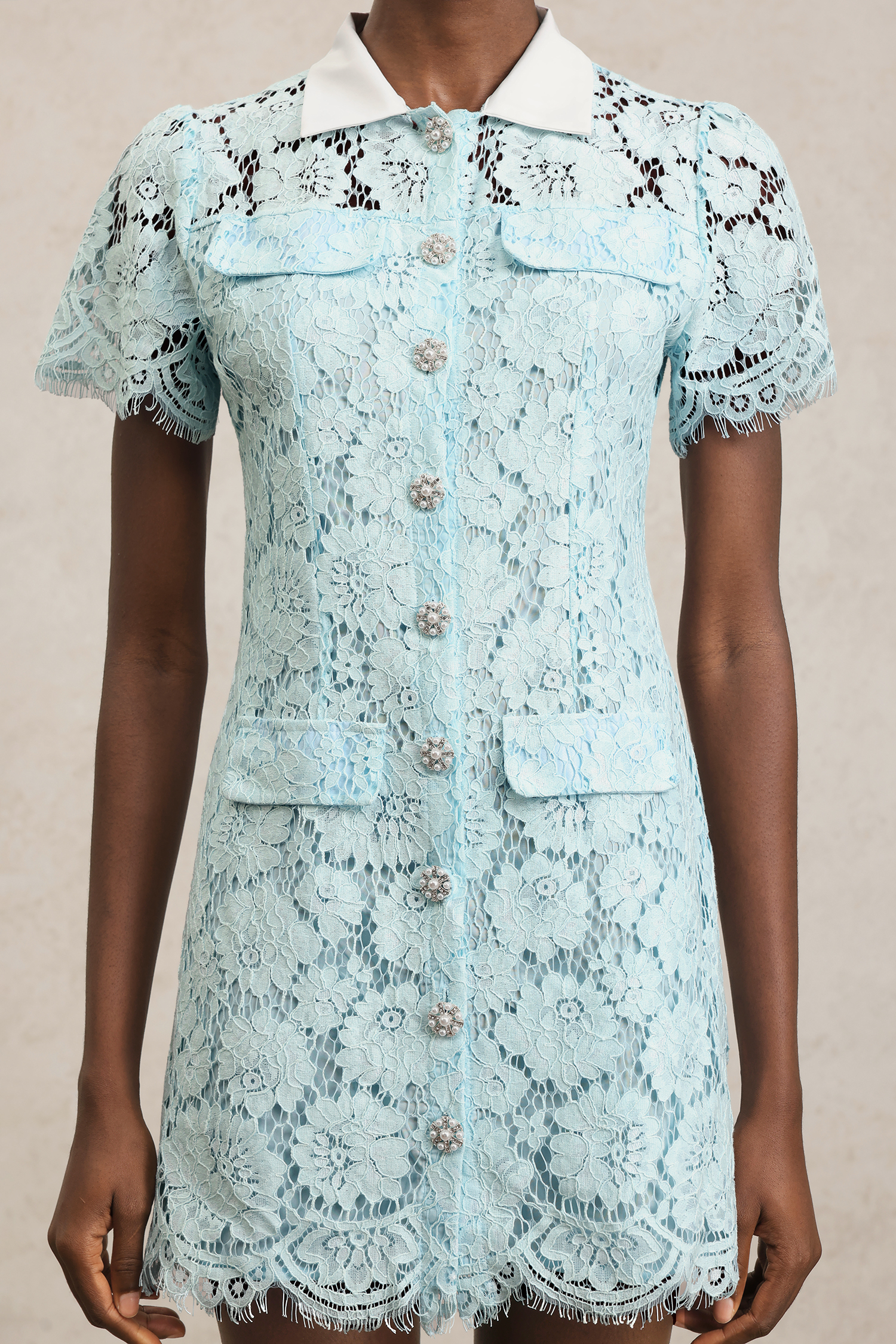 Saliya Short Sleeves Lapel Lace Mini Dress