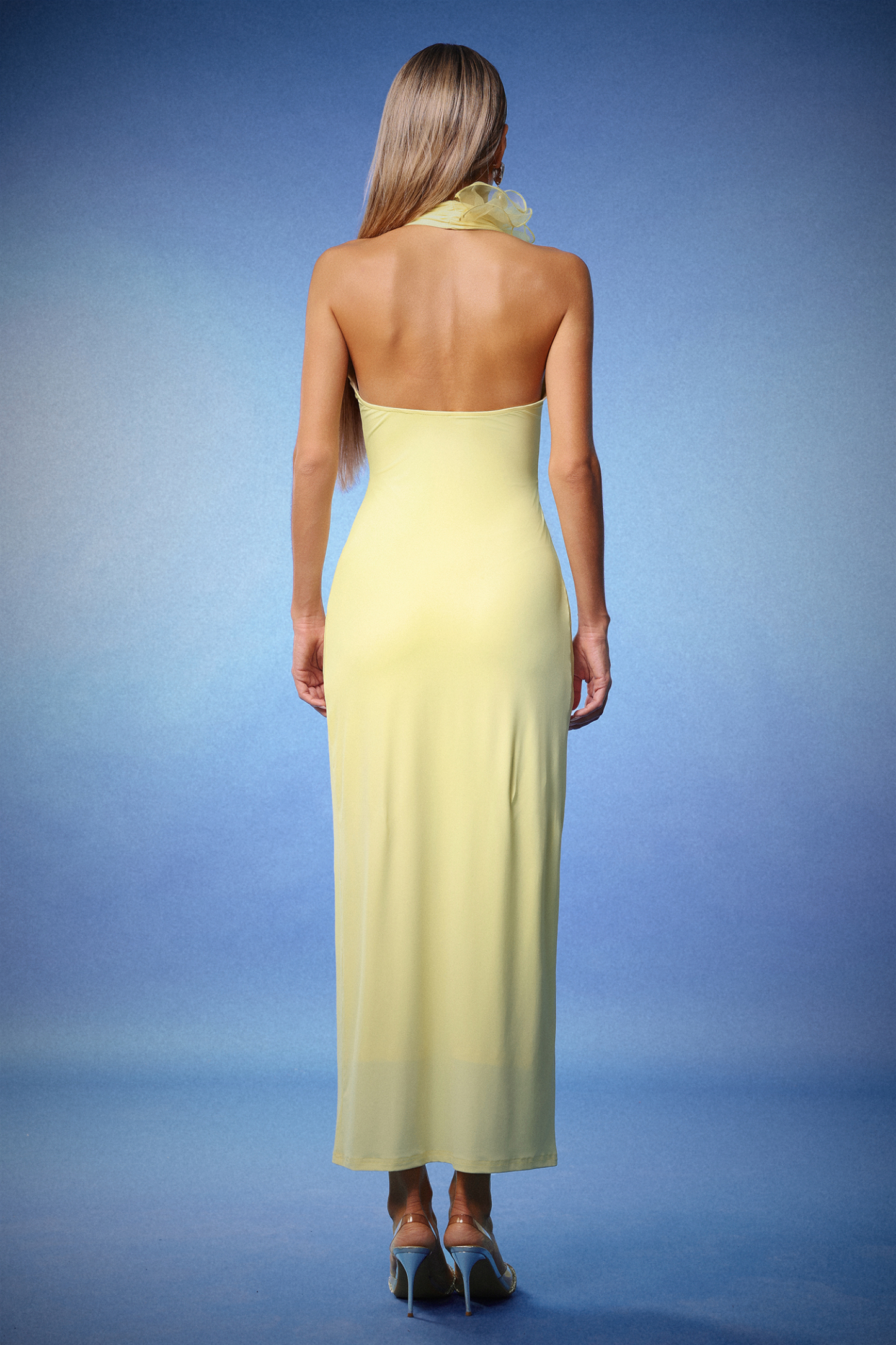 Lacie Deep-V Halter Backless Flowers Maxi Dress