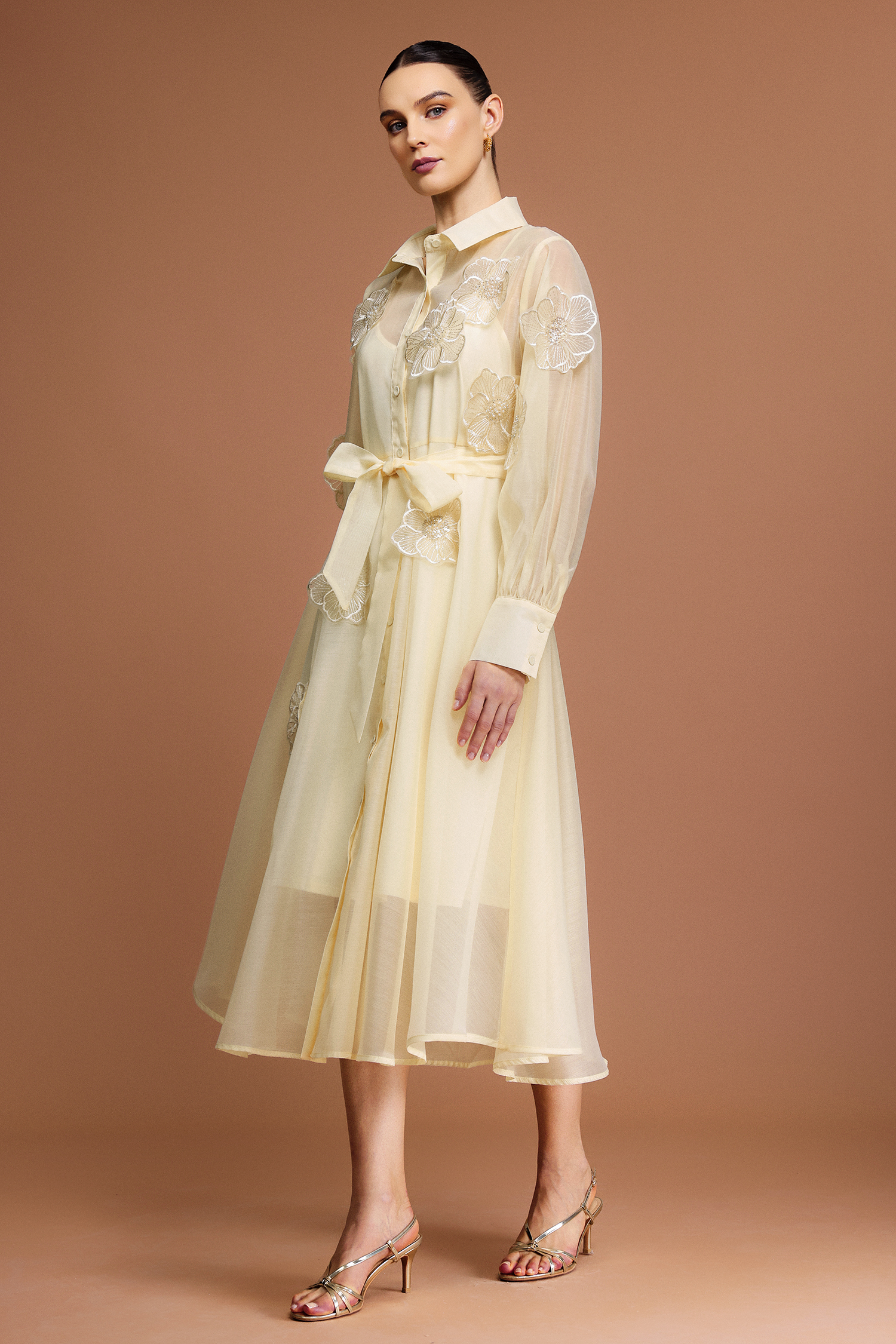 Minnie Long Sleeves Flowers Midi Dress