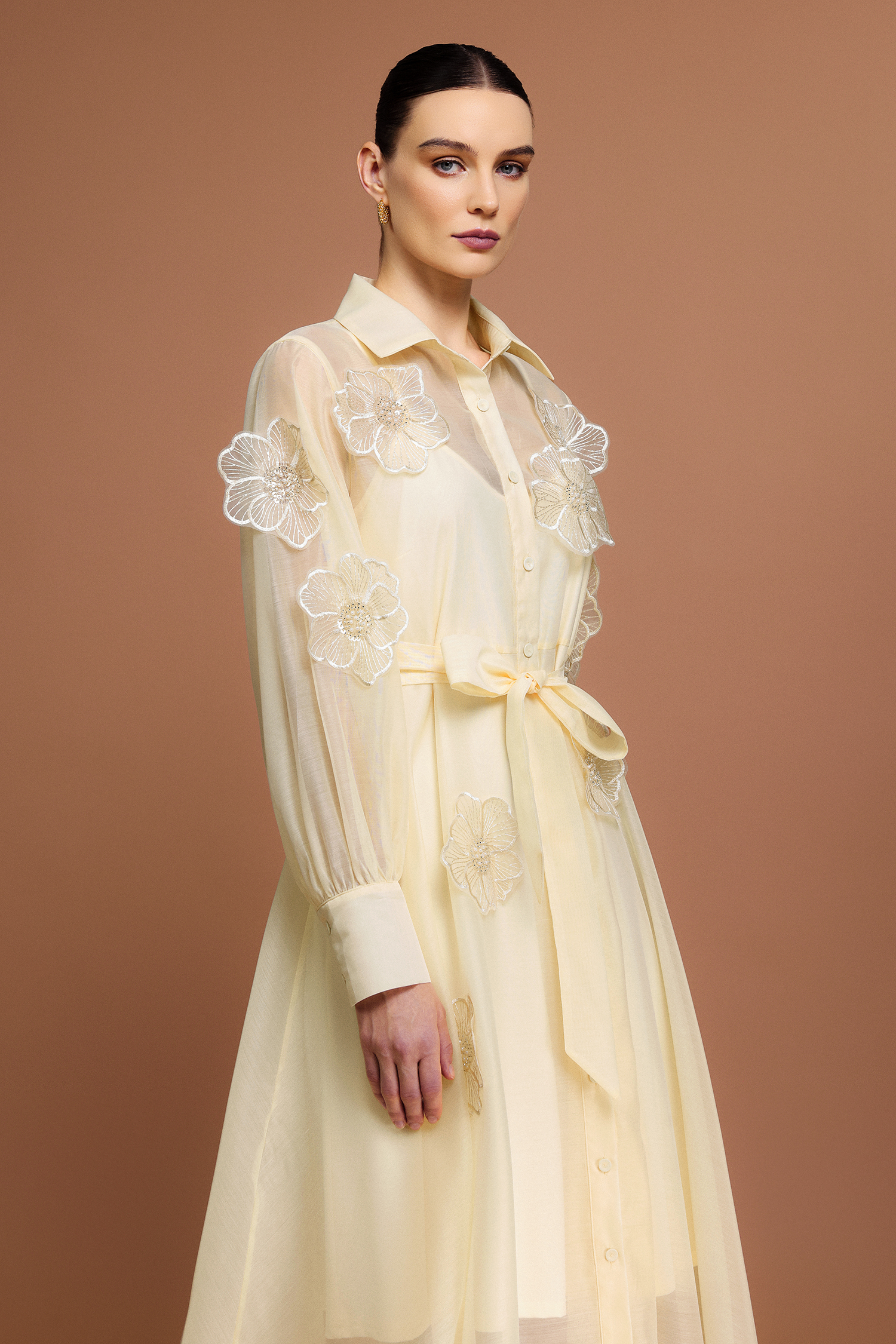 Minnie Long Sleeves Flowers Midi Dress