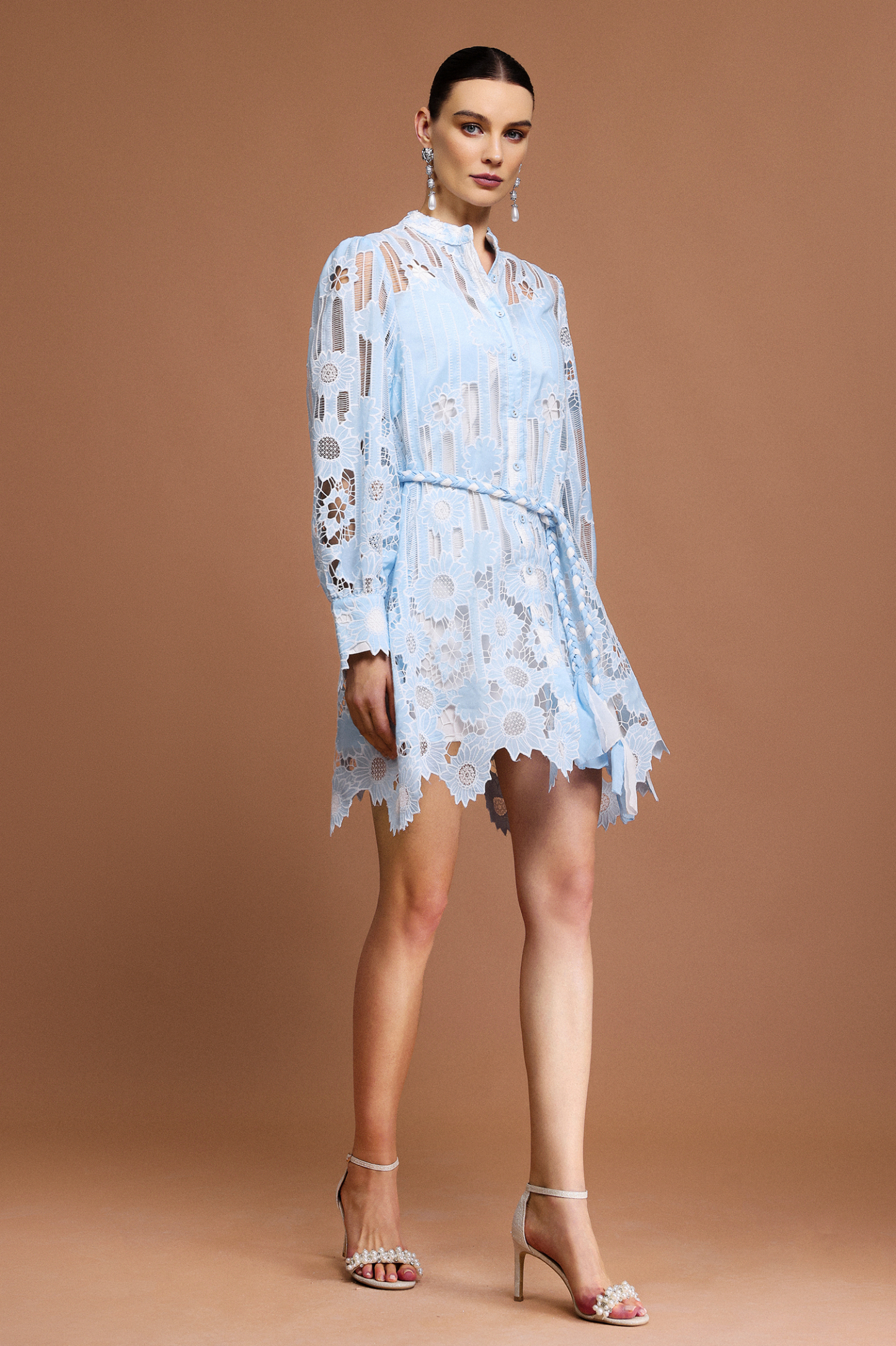 Ona Long Sleeves Flowers Lace Mini Dress