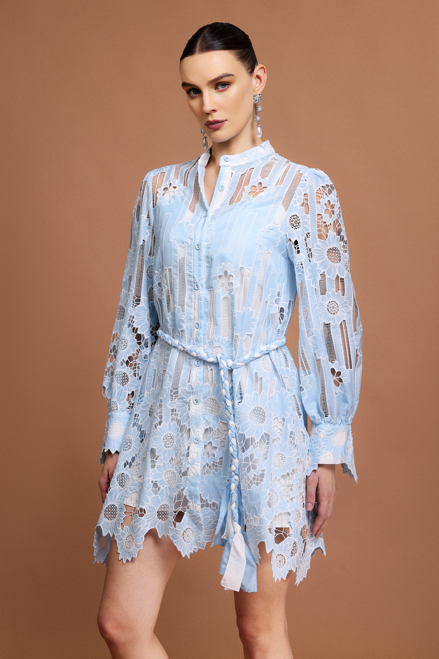 Ona Long Sleeves Flowers Lace Mini Dress