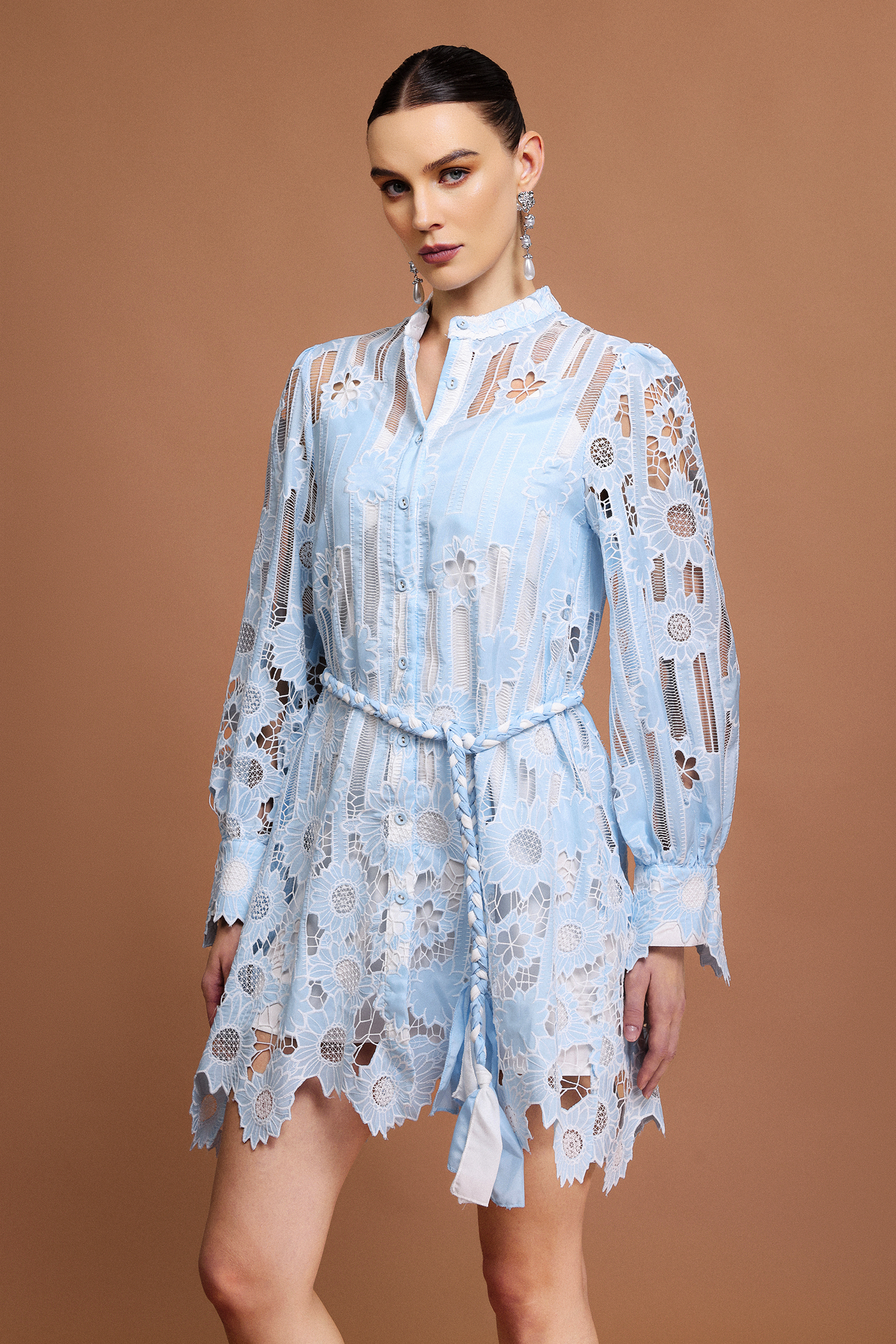 Ona Long Sleeves Flowers Lace Mini Dress