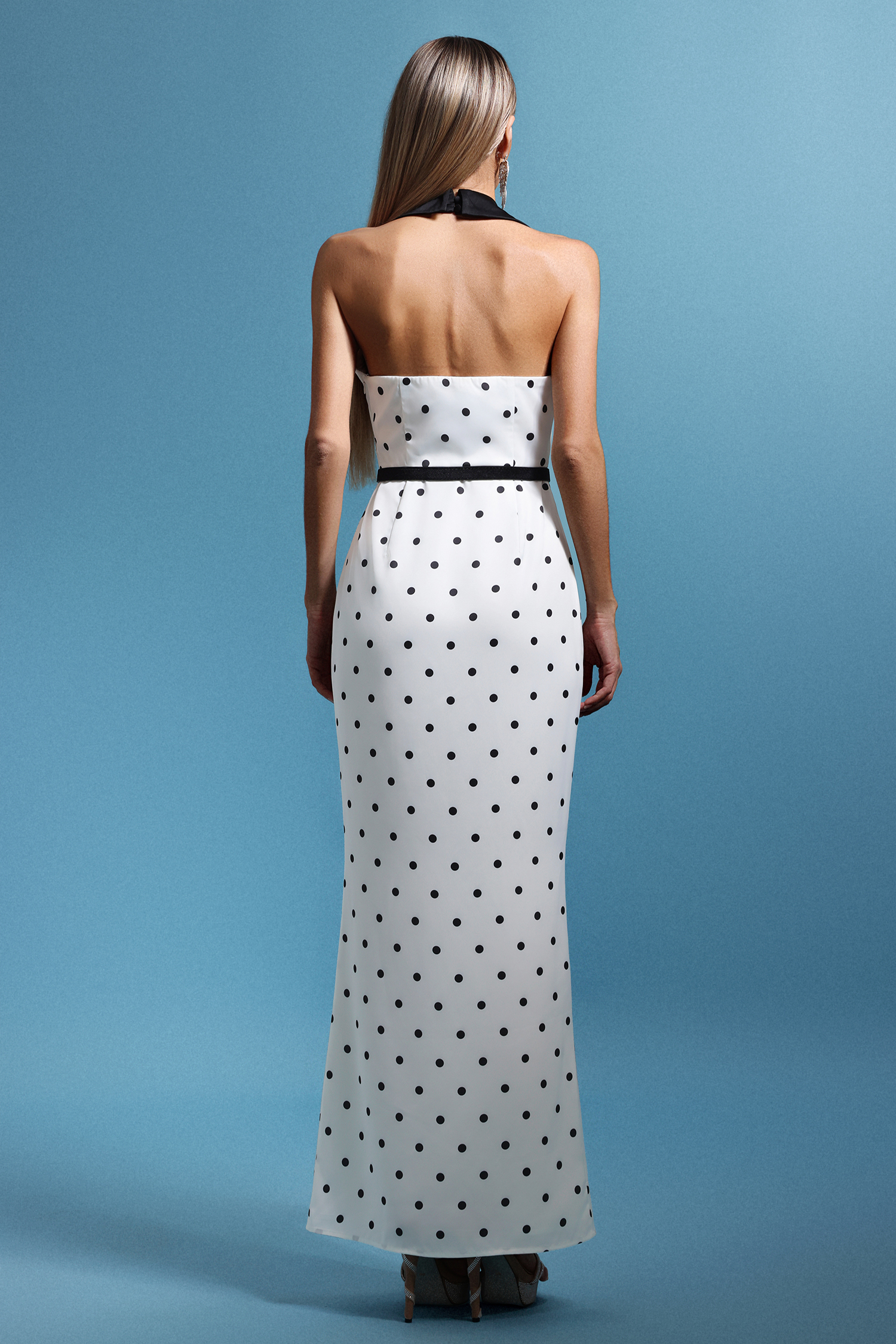Daryl Sleevess Polka Dot V-Neck Maxi Dress