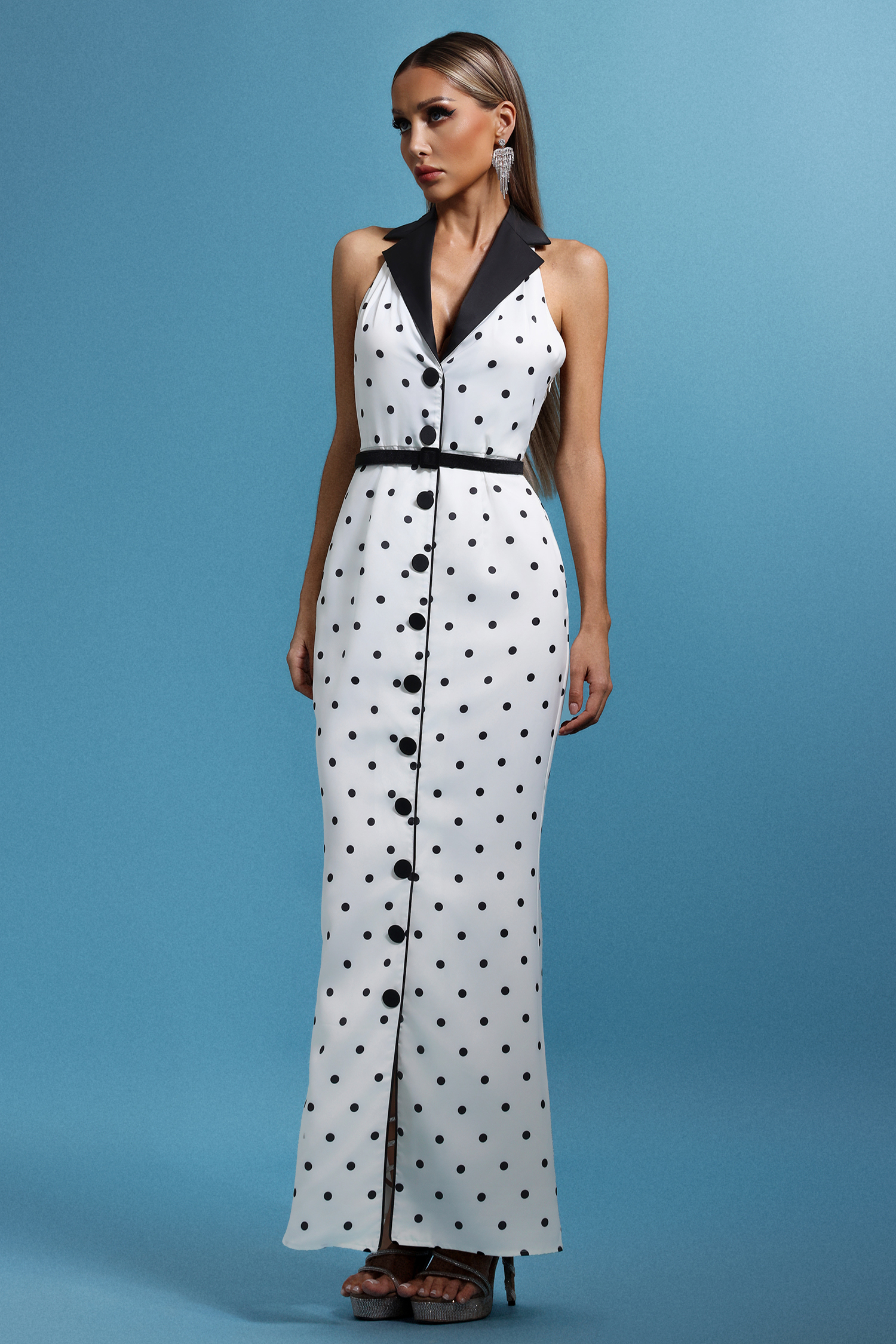 Daryl Sleevess Polka Dot V-Neck Maxi Dress