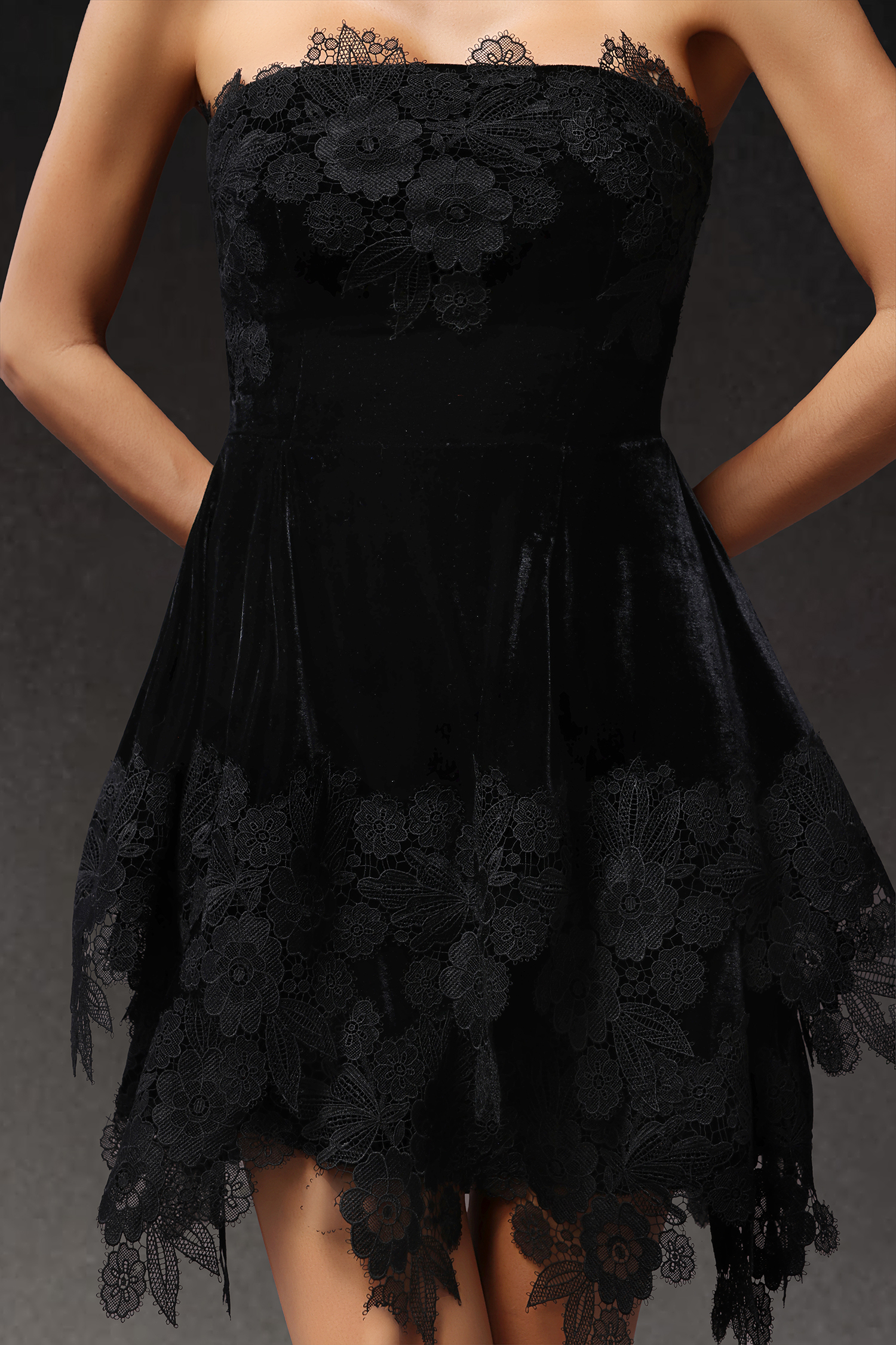 Pola Sleeveless Lace Velour Mini Dress