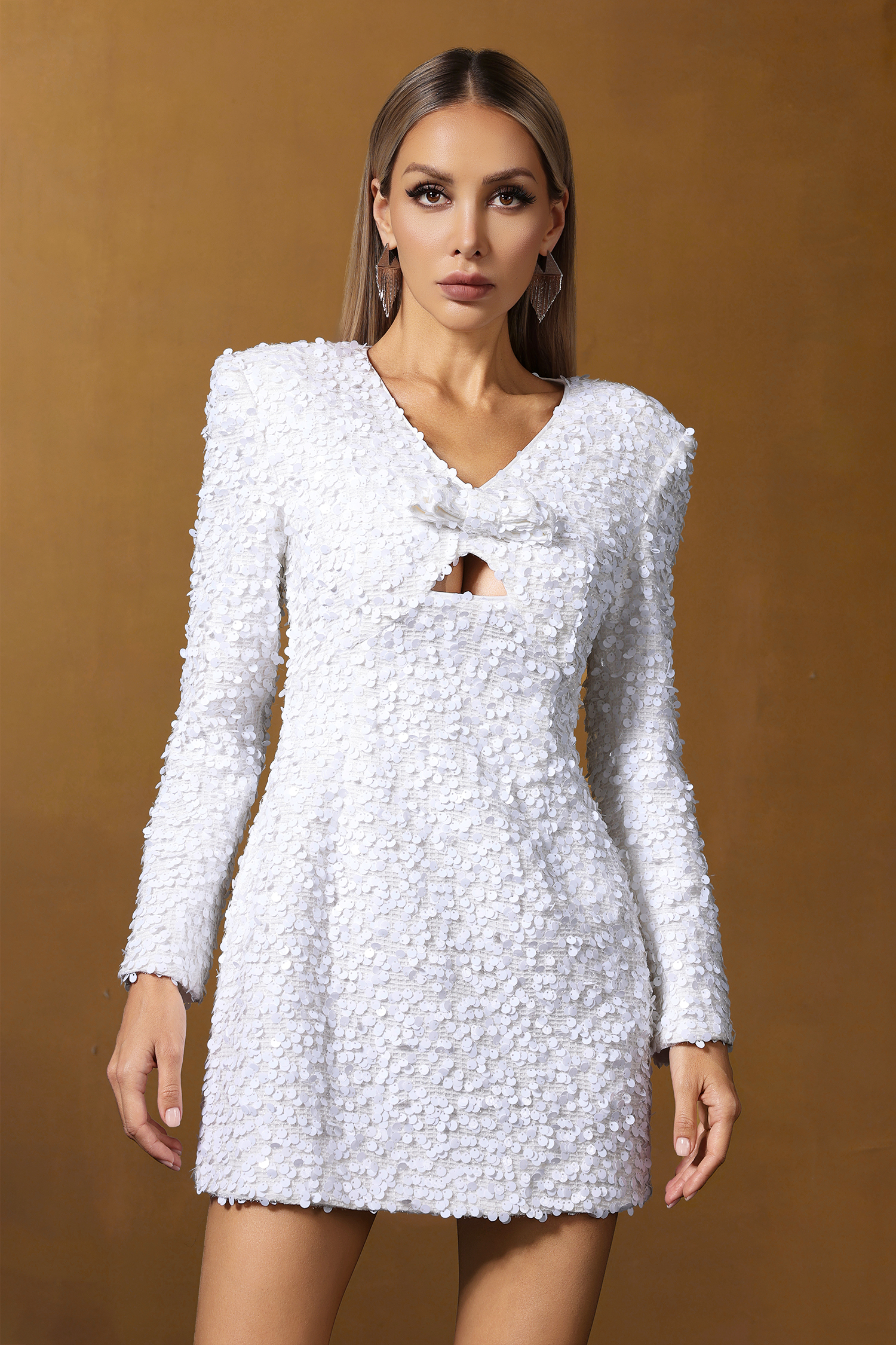 Fern Long Sleeve Sequin Mini Dress