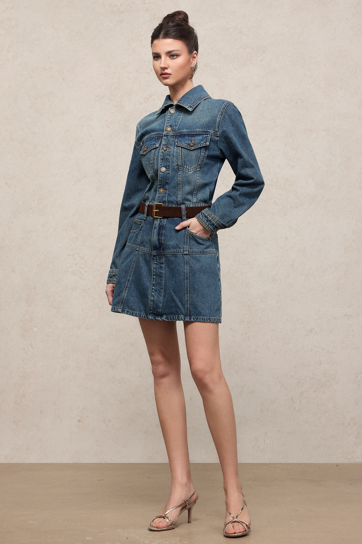 Diana Chic Long Sleeve Denim Mini Dress