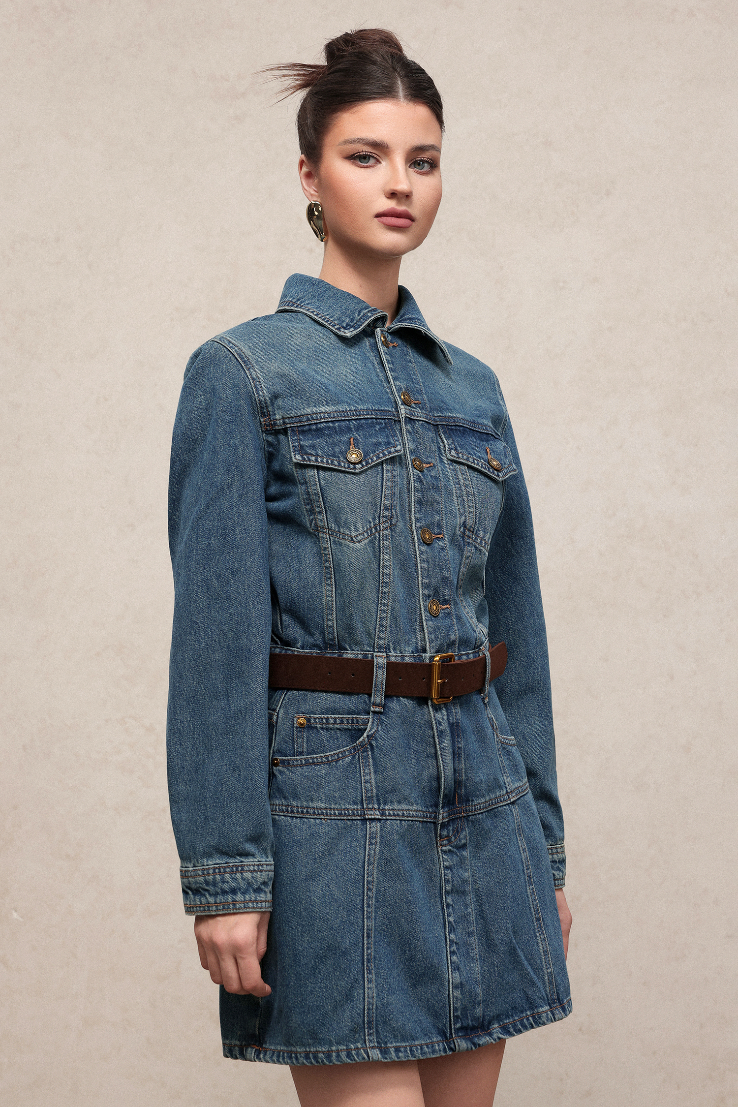 Diana Chic Long Sleeve Denim Mini Dress