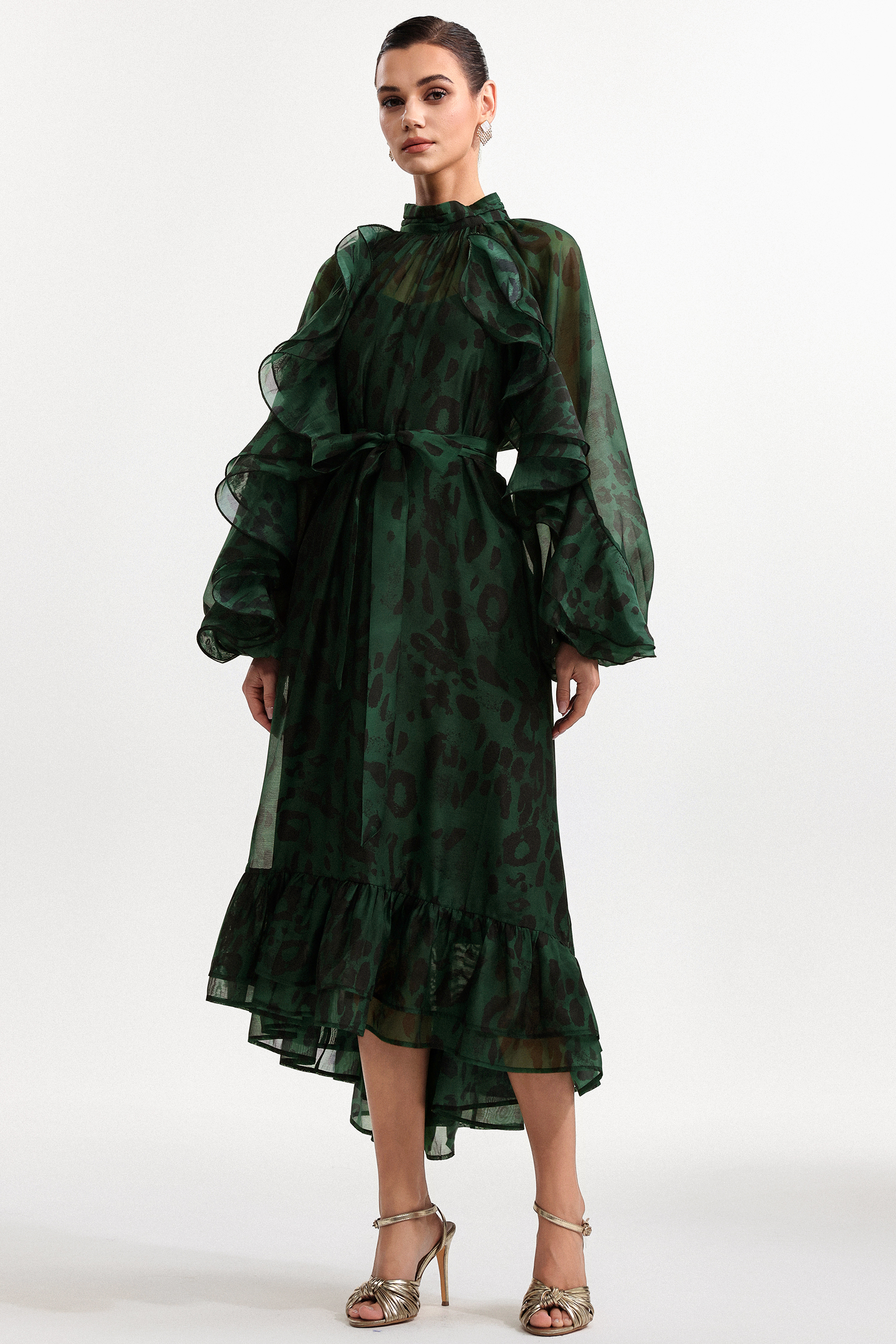 Presley Resort Flowy Long Sleeve Falbala Printed Organza Green Maxi Dress