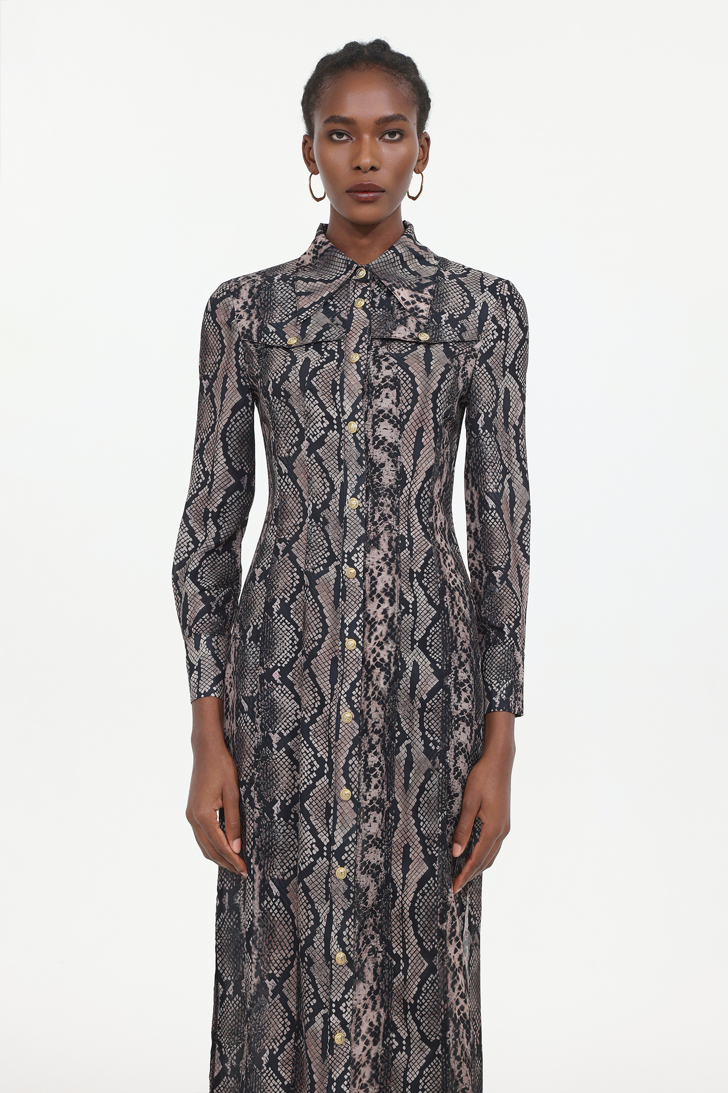 Tinnie Elegant Tailored Long Sleeve Snake Print Woven Maxi Dress