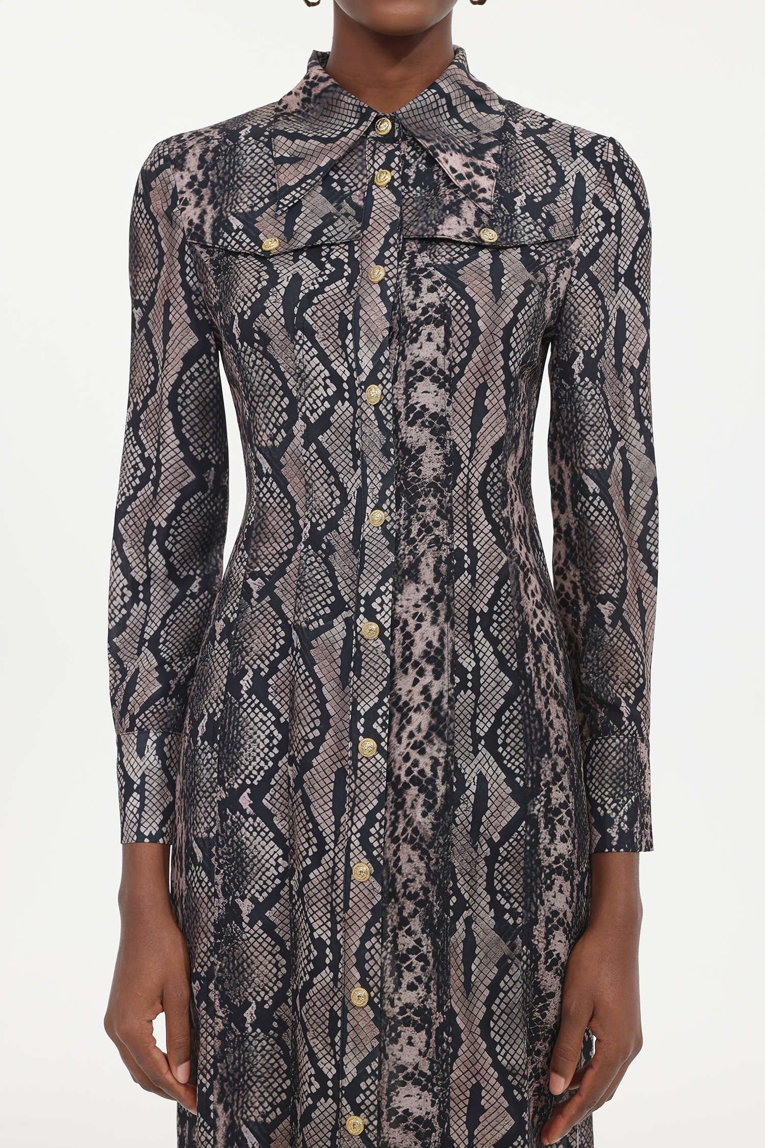 Tinnie Elegant Tailored Long Sleeve Snake Print Woven Maxi Dress