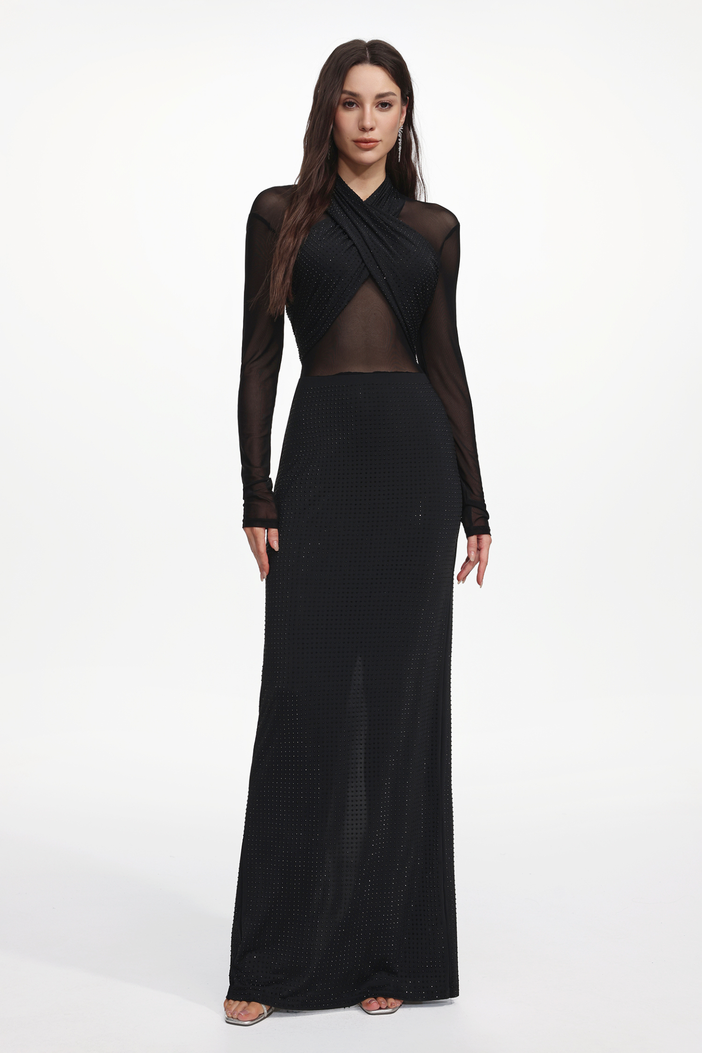 Nanon Glamorous Long Sheer Sleeve Crystal Maxi Dress