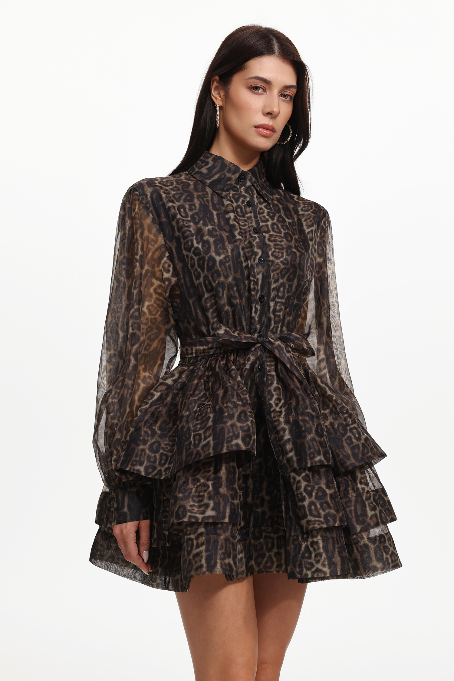 Dilara Resort Flowy Long Sleeve Leopard Printed Woven Mini Dress