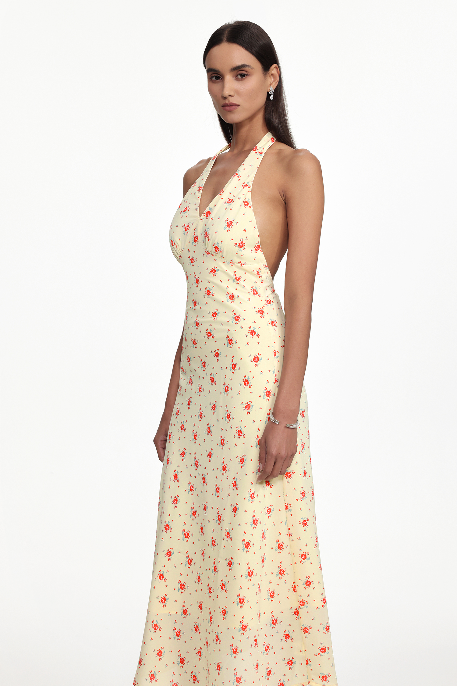 Serena Romantic Cinched Waist V Neck Sleeveless Floral Print Woven Maxi Dress
